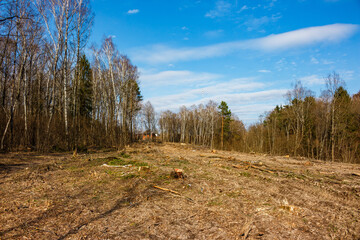Deforested land cleared for power line corridor stretches under a bright spring sky, showing stumps and debris