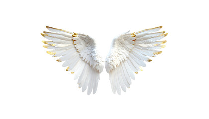 Obraz premium Beautiful white angel wings illustration with feather design elements isolated on white background