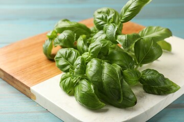Fresh basil leaves on light blue wooden table, closeup