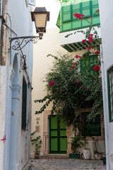 Beautiful view from the medina of mehdia, Tunisia