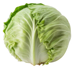 Fresh green cabbage head with visible leaf veins and ruffled edges isolated on a transparent background