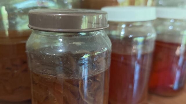 kombucha with layers in a large three-liter jar. organic healthy drink
