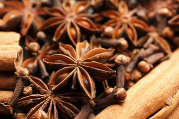 Mulled wine spices. Anise stars, cloves and cinnamon sticks, closeup