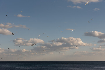 Seascape view from mehdia town, Tunisia