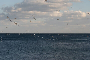 Seascape view from mehdia town, Tunisia