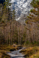 Autumn scenery in the Bavarian Alps with the snowy mountains