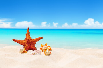 Seashells and starfish on white sandy beach with turquoise water background. Summer beach with strafish and shells
