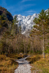 Hiking trail  in the Bavarian Alps on a sunny day in autumn
