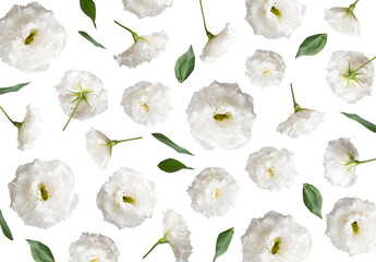 Cut-out white flowers and green eustoma leaves on transparent background. PNG objects for design,...