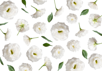 Cut-out white flowers and green eustoma leaves on transparent background. PNG objects for design, postcards, invitation layouts, March 8th, collages, wedding compositions, mockup. With clipping path