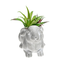 concrete decorative bunny figure pot with agave succulents