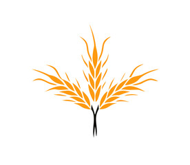 Agriculture wheat Logo. wheat Logo Template vector icon design. Template vector icon design