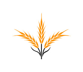 Agriculture wheat Logo. wheat Logo Template vector icon design. Template vector icon design
