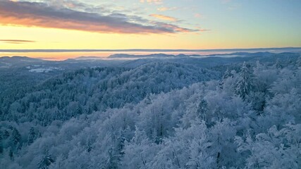 Breathtaking winter landscape at dawn, snow-covered trees and rolling hills under a pastel sky. Drone footage captures serene, frosty scenery, perfect for winter enthusiasts and landscape photography.