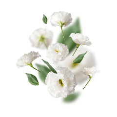 Cut-out white flowers and green eustoma leaves on transparent background. PNG objects for design,...
