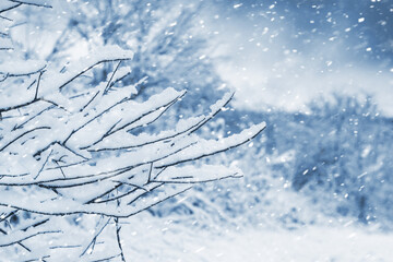 branch covered with a thick layer of fresh snow against the background of a blurred winter landscape with heavy snowfall creating a frosty, cold and calm winter background