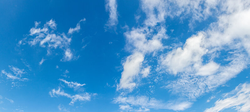 blue sky covered with scattered white clouds of various shapes and sizes creating a spacious, clean and bright nature background - Powered by Adobe