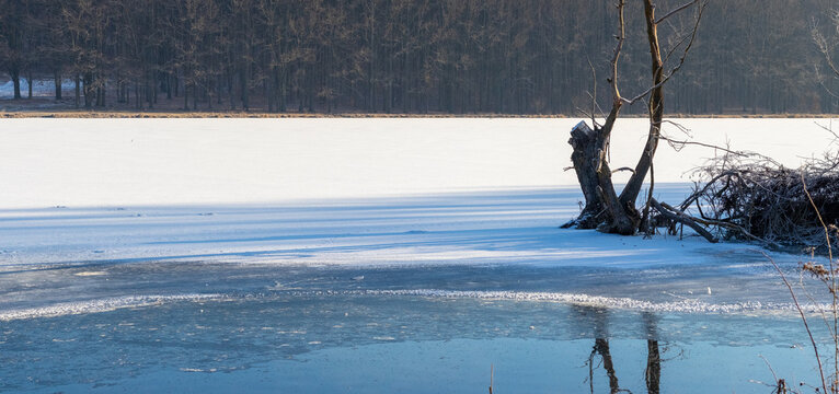 Calm winter landscape frozen lake covered snow icy open water foreground dry tree dark winter forest background