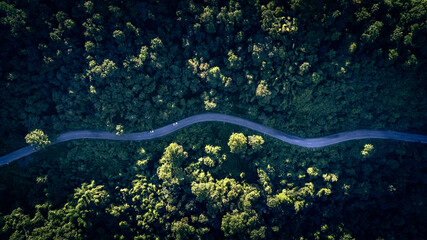 Road in the middle of the forest , road curve construction up to mountain, Rainforest ecosystem and...