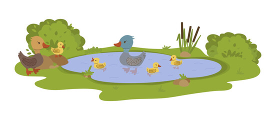 Duck family enjoying a calm swim in a small pond surrounded by greenery and cattails. The playful ducklings follow the adults, creating a peaceful and serene scene. Vector illustration.