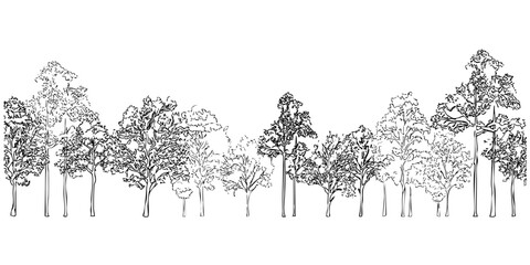 Tree line background. Vector illustration of forest scene with branches. Different kinds of trees drawing. Natural silhouette.