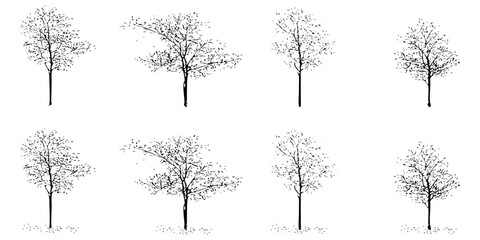 Collection of bare trees sketches with no leaves for nature background design. Forest tree in autumn season isolated. Vector illustration.