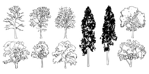 Set of tree illustration drawings, tree sketch, trees graphic, trees silhouette. Different types isolated on a white background vector graphic design.