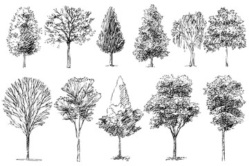 Set of doodle trees, forest trees, nature trees, plant trees and leaf trees on white background landscape design elements