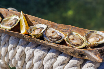 Fresh oysters on a rustic wooden plate