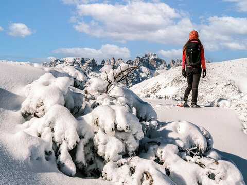 A woman snowshoes through a snowy landscape with mountains in the background under a blue sky. Paganella, Roda refuge,Trentino, Italy