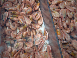 Customers browse through fresh shrimp at a seafood market during morning hours