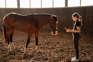 Trainer offers cute horse carrot. Girl stands in front of beloved horse in arena, feeding it carrot during training. Concept: equestrian sport, pet care, pet treats.