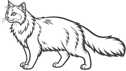 Fototapeta premium Outlined illustration of a long haired cat standing in a side profile with a fluffy tail