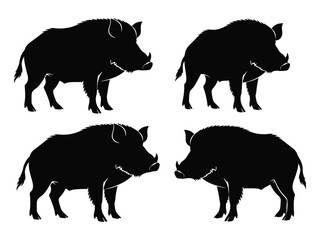 Four black silhouettes of wild boars in various poses shown