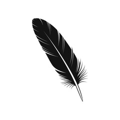 Obraz premium A single black feather isolated on a clean white background