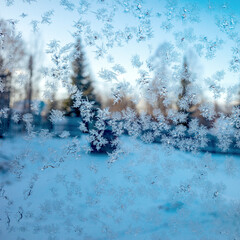 Intricate Frost Patterns on a Window with Winter Trees Outdoors