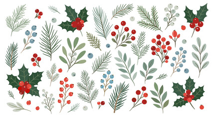 Winter evergreen foliage and berry clipart set in transparent PNG format. Hand drawn holly, fir...