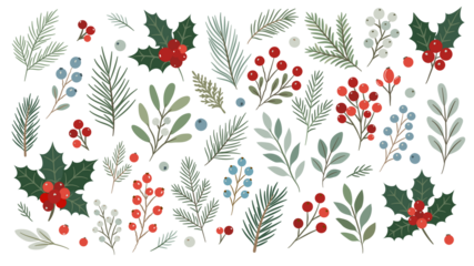 Winter evergreen foliage and berry clipart set in transparent PNG format. Hand drawn holly, fir branches, mistletoe and winter leaves for festive decor, seasonal crafts and holiday design.