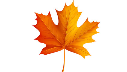 Fototapeta premium A single vibrant orange and yellow maple leaf with detailed veins isolated on a transparent background