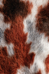 Closeup of cowhide texture featuring brown, white, and gray patterns  