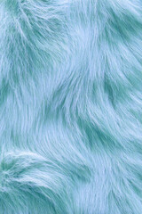 Soft teal fur texture background with gentle wave patterns  