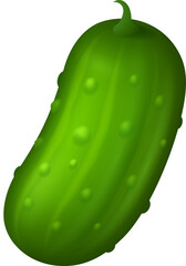Cucumber