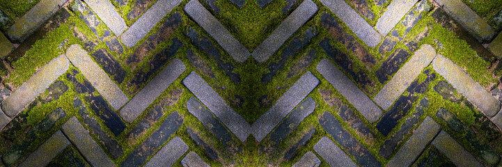 moss growing between paving stones laid in a herringbone pattern