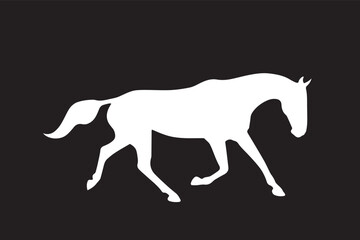 Elegant white horse walking gracefully on a black background creating a striking visual contrast © dreminem