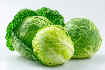 Fototapeta premium Fresh green cabbages isolated on white background in a clean studio still life