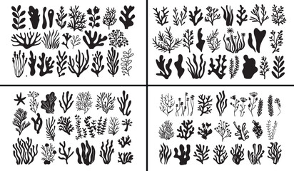 Botanical plant illustration, leaf vector design, natural greenery drawing, hand drawn foliage artwork, garden plant decor, organic botanical clipart, aesthetic leaf sketch, elegant botany pattern, mi