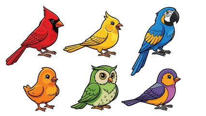 Six colorful cartoon birds including a cardinal, canary, macaw, chick, owl, and another small bird.