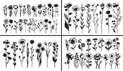 Botanical flower drawing, floral vector design, hand drawn flower clipart, natural plant illustration, aesthetic floral artwork, blooming garden sketch, spring flower decor, botanical outline art, dec