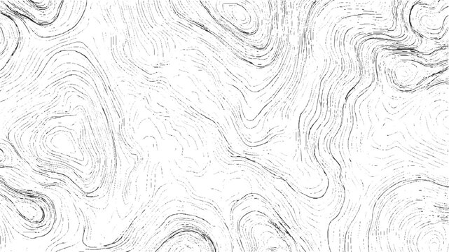 Black and white abstract topographic contour lines pattern background