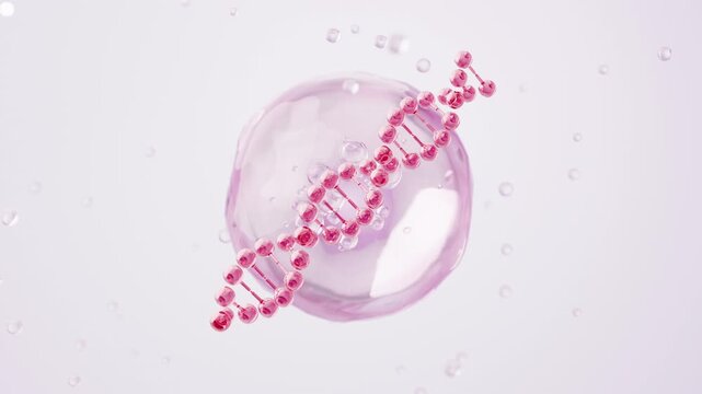 Pink DNA Helix Rotating for PDRN Salmon and Longevity Science, 3D Animation